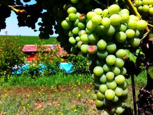 Agroturismo Cascina Dei Giacinti