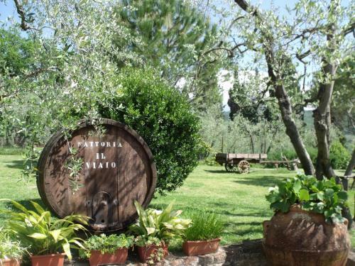 Agroturismo Agriturismo Il Viaio