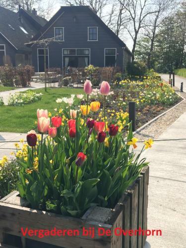 Bed & Breakfast Boerenhofstede de Overhorn
