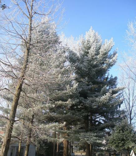 � Bois Dormant B&B