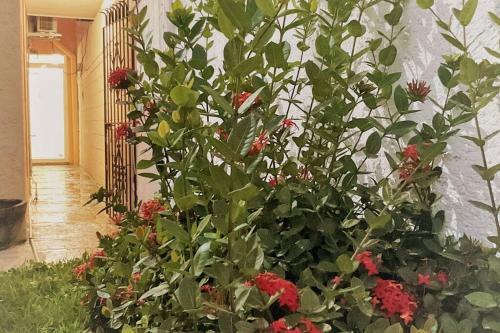 Apartamento Acogedor Estudio Cercano A La Central de Autob�s
