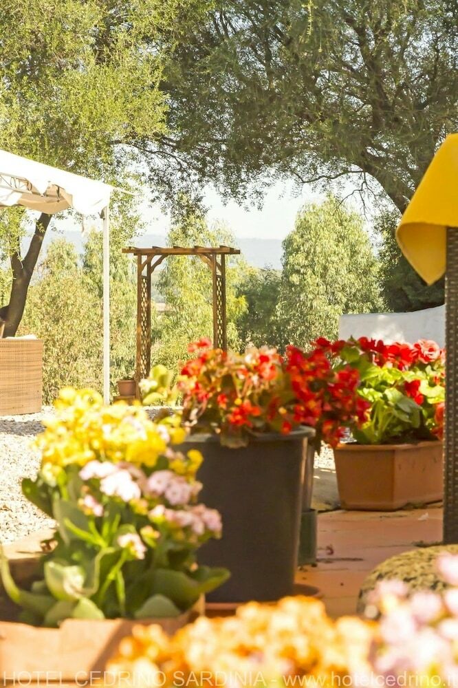 Hotel Cedrino