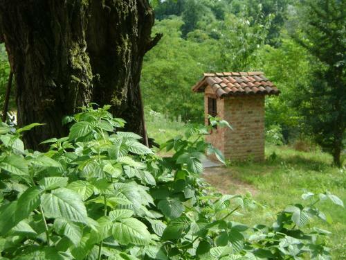 B&B Cascina Rossa