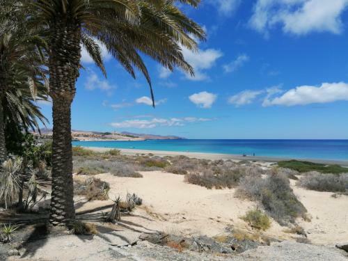 Apartamento Fishermans Cove