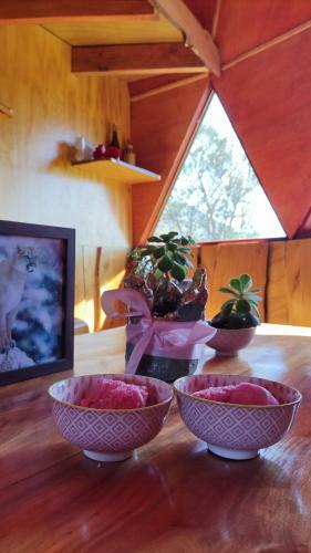 Apartamento Domo Vive Pellaifa