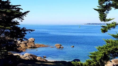 Pointe Du Cabellou-plages � Pied (100m)