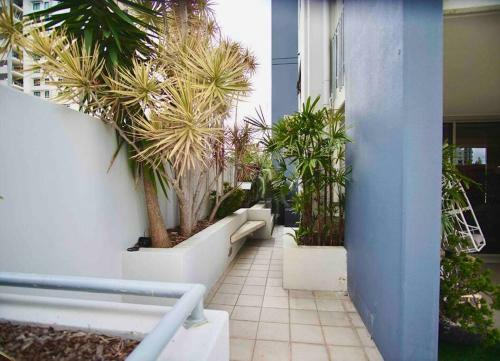 St Johns Apartment 3 Bed 2.5 Bath 2 Carpark Brisbane Cbd