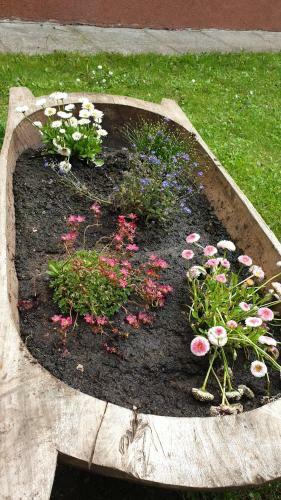 Dom?ek U Ferka