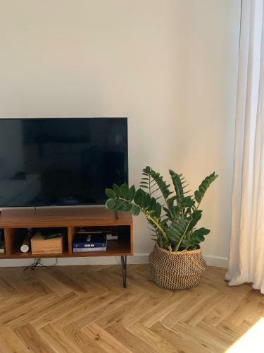 Apartamento Appartement Centre Ville