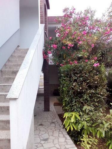 ?imuni Apartman