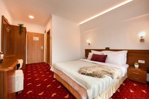 Apartamento Wild & Free - Ideal Room With A View