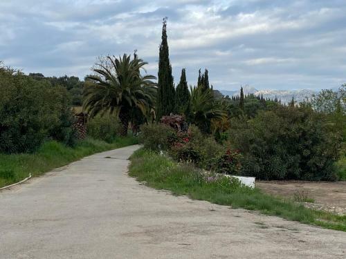 Villa Finca El Vicario