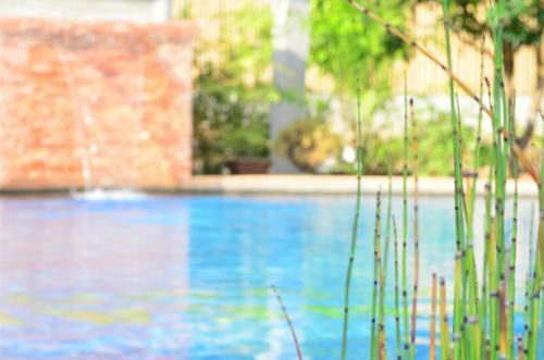 Hotel Veraneante Resort