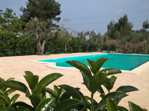 Panacea Residence B&B