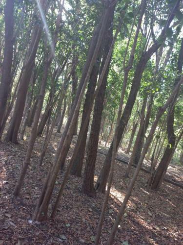 Hostel Refugio Del Alba