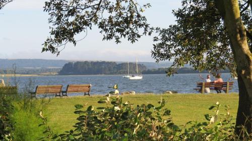 The Old Townhouse - Room 2
