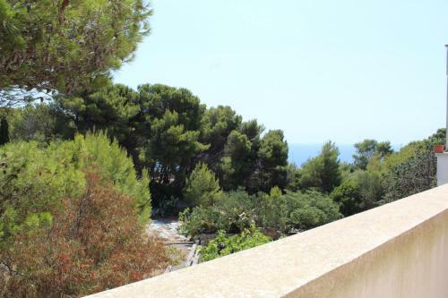 Villa Pedaci B&B
