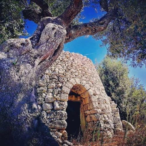 Casa Morena