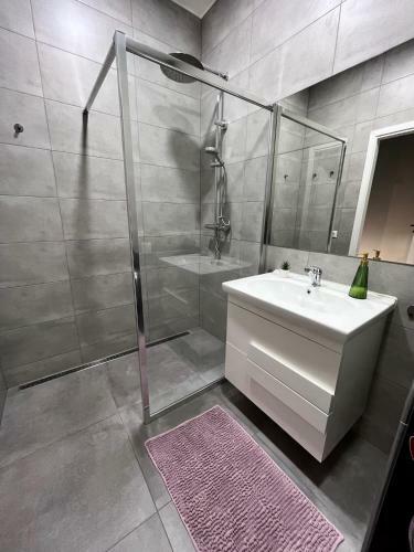 Apartamento Jaukus Butas Klaip?dos Centre