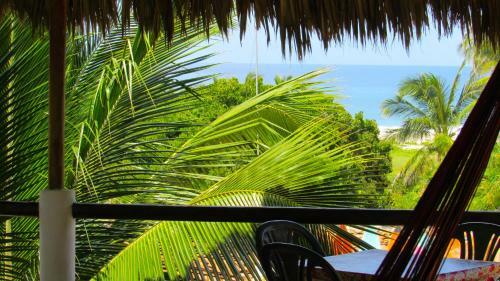 Hostal Guacamole Guesthouse