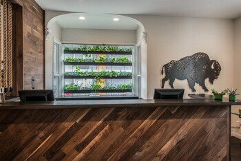 Hotel Quality Inn & Suites Boulder Creek