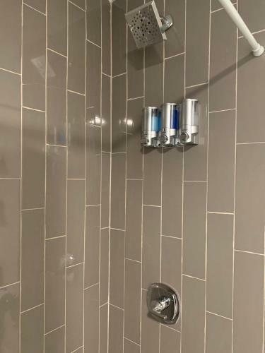 Apartamento Busch Gardens Bliss Suite