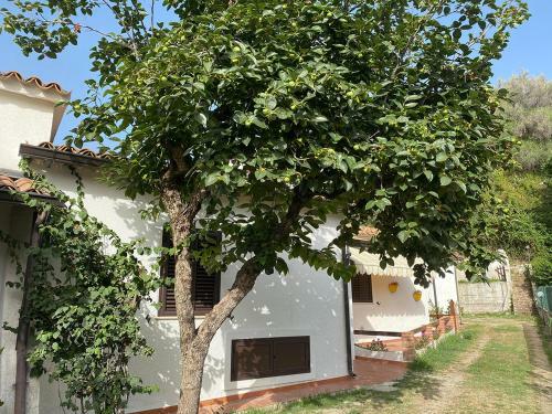 Apartamento La Villetta Zambrone