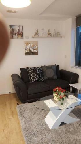Piquancy Apartments - Sheffield City Centre