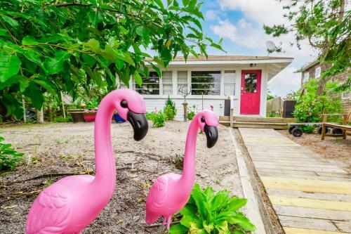 White Flamingo