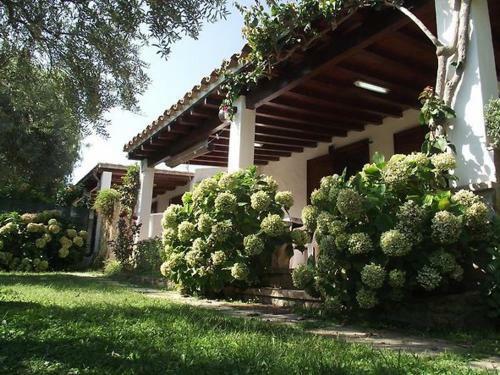 Villa Limone Intero Alloggio A 300 Mt Dal Mare 8p