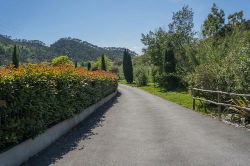 Apartamento Timo - Villa Luisa: Con Vasca Idromassaggio Privata