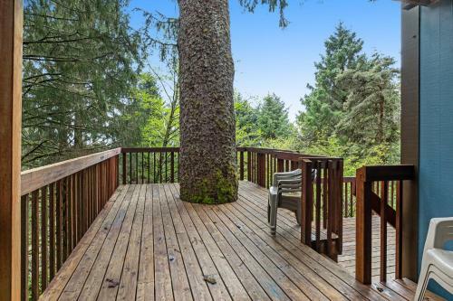 Nehalem Woods