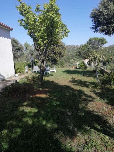 Casa Vacanze Monti Canu