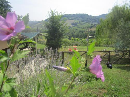 Agroturismo Le Spighe Agriturismo
