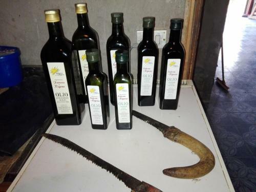 Agroturismo Fattoria Di Rigone