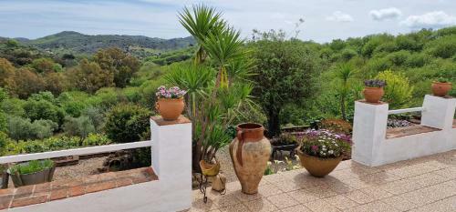 Villa Botero
