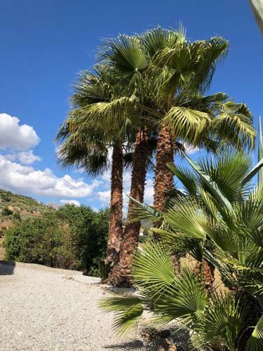 Villa Vista Alboran, Competa, Spain