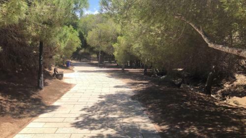 Apartment Near La Mata Beach