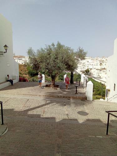 Apartamento Arco de La Cobijada