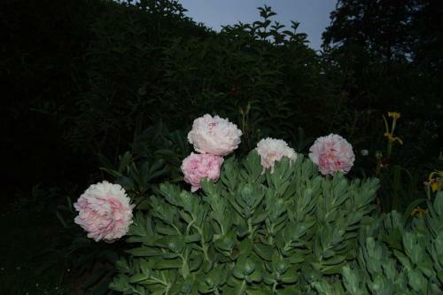 G�tes Normands De Charme Les Ch�taigniers
