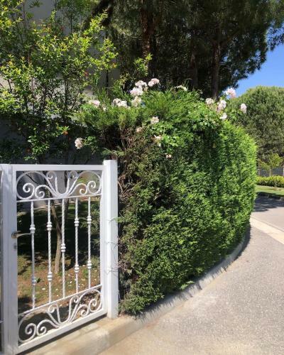 Apartamento Magic Lalzi Bay At Primavera Residence