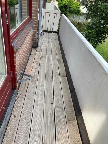 Huis Met de Enorme Boom
