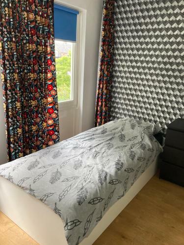 Huis Met de Enorme Boom