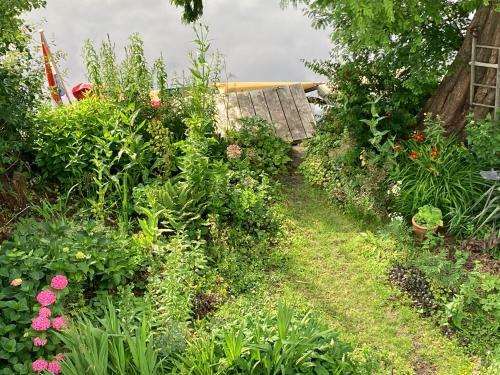 Huis Met de Enorme Boom