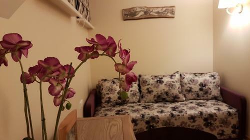 Pervalkos Mi?ko Ir ?vyturio Apartamentai