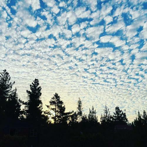 Caba�as Vistabosque de Algarrobo