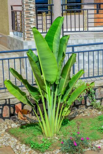 Agroturismo Kigali Sky Home