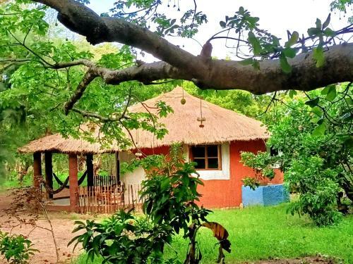 Lodge Naturubuntu