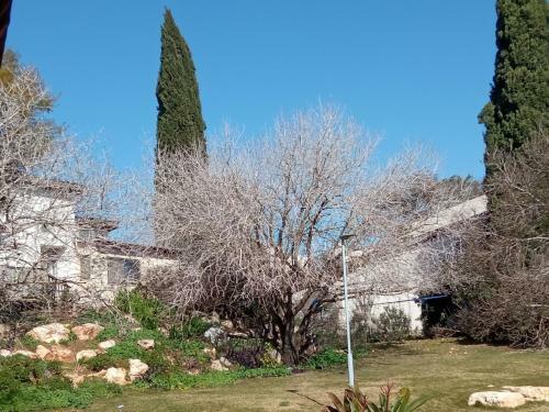 Apartamento Lakeview Chalet In The Galilee