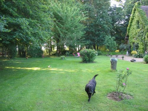 Bed & Breakfast Logis de La Paqueraie